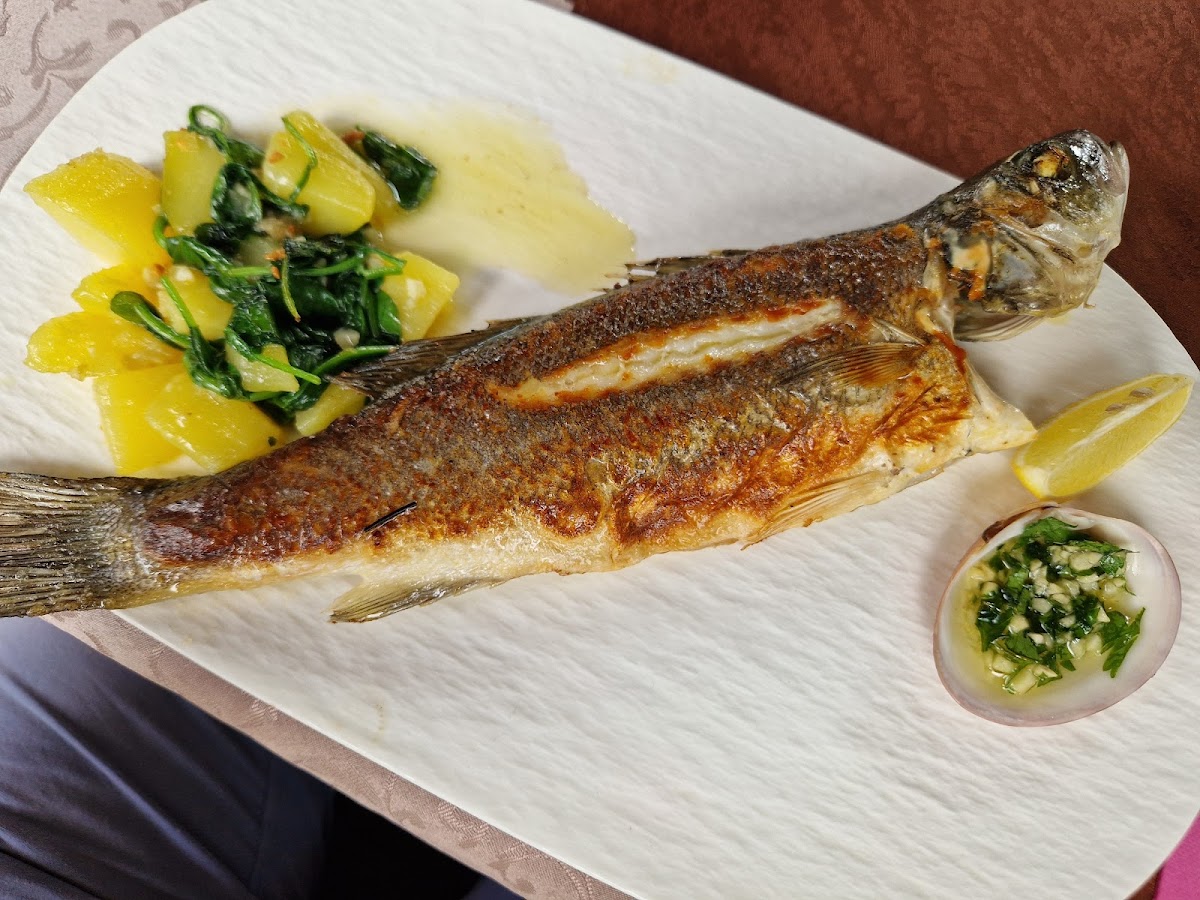 Ristorante Aquarium-6